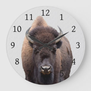 Bison Buffalo Foto 135 Große Wanduhr
