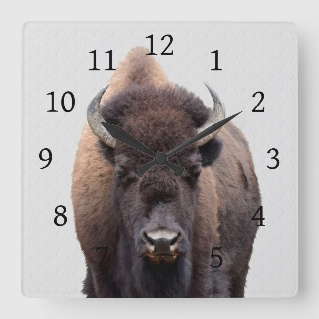 Bison Buffalo Foto 135 Quadratische Wanduhr (Vorderseite)