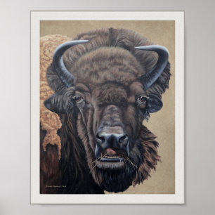 Bison Buffalo Kuh Essen auf Tan Poster