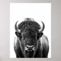 Bison Buffalo Modernes Portrait Schwarz-weiß