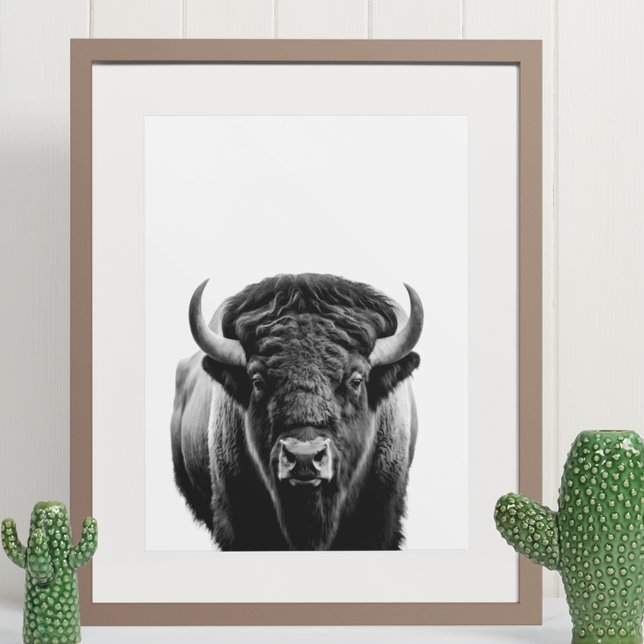 Bison Buffalo Modernes Portrait Schwarz-weiß Poster (Von Creator hochgeladen)