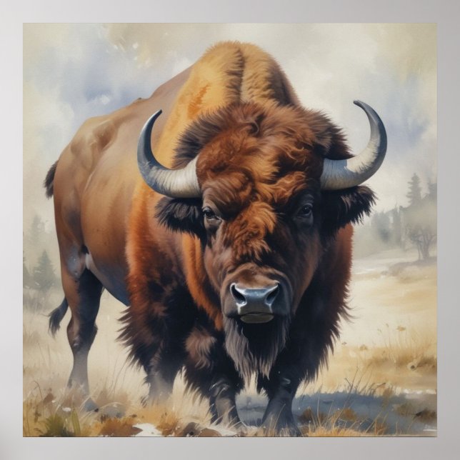 Bison/Buffalo Poster (Vorne)