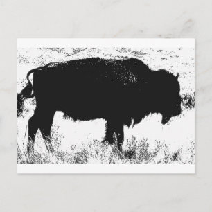 Bison - Buffalo Postkarte