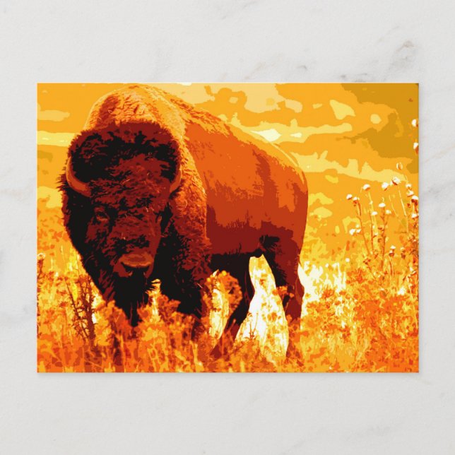 Bison/Buffalo Postkarte (Vorderseite)