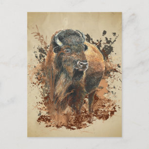 Bison Buffalo Wilhelm Tell Postkarte