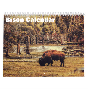 Bison Büffel 2027 Kalender