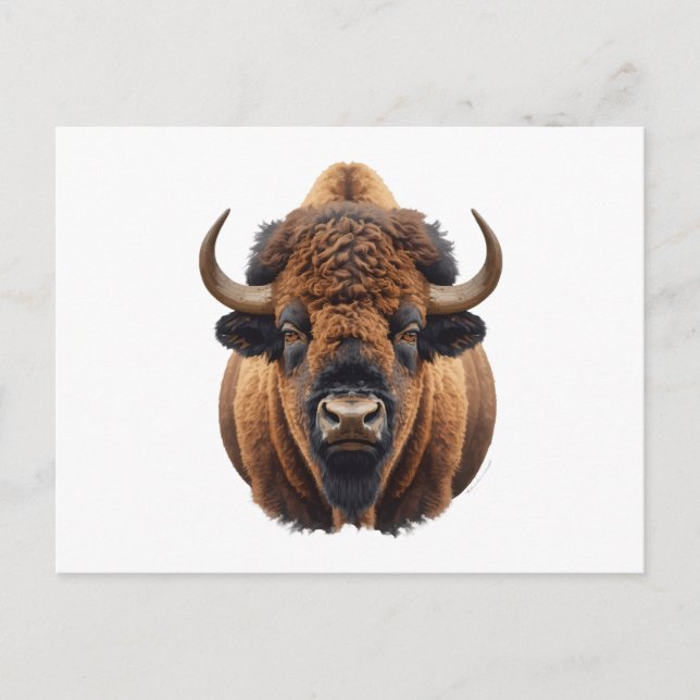 Bison / Büffel Feiertagspostkarte (Vorderseite)