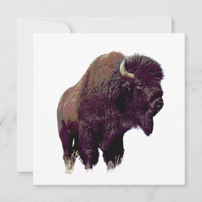Bison Büffel Karte (Vorderseite)