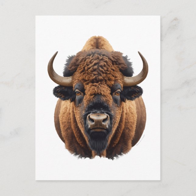 Bison / Büffel Postkarte (Vorderseite)