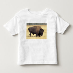 Bison Bull in Yellowstone National Kleinkind T-shirt