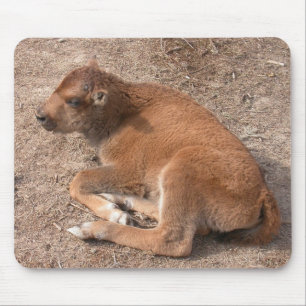 Bison Calf Mousepad