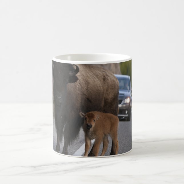 Bison Calf Roadblock Tasse (Mittel)