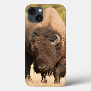 Bison iPhone 13 Hülle