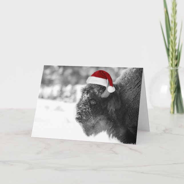 Bison Claus Feiertagskarte (Vorderseite)