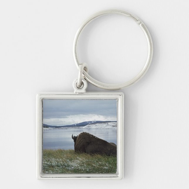 Bison, der an durch Yellowstone River mit Schnee Schlüsselanhänger (Vorne)