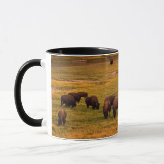 Bison, der auf Hügel an Hayden Tal weiden lässt Tasse