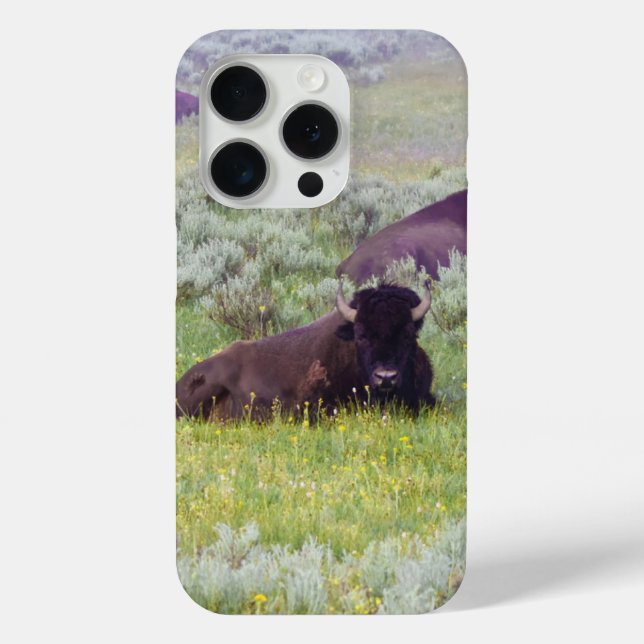 Bison Dreams Phone Wallet Case-Mate iPhone Hülle (Rückseite)