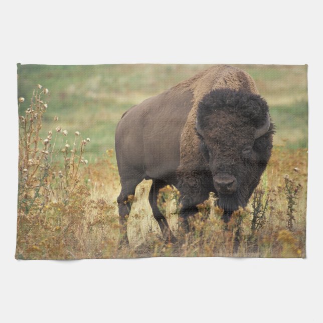 Bison Foto Küchentuch (Horizontal)