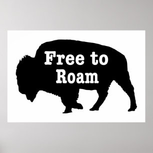 Bison free to roam poster