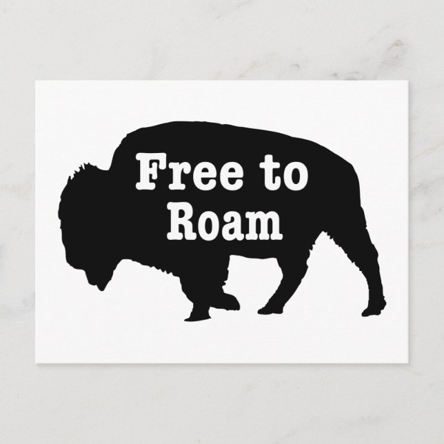 Bison free to roam postkarte (Vorderseite)