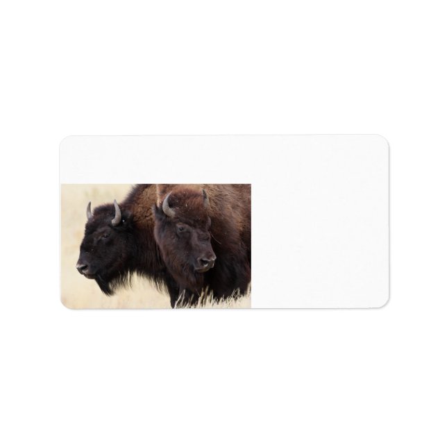 Bison-Freundschaft Adressaufkleber (Vorne)