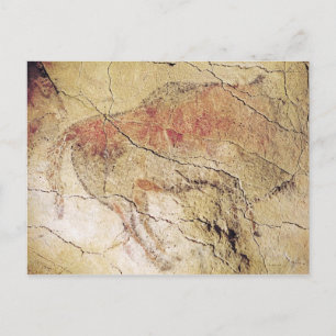 Bison from the Caves at Altamira, c.1500 v. Chr. Postkarte