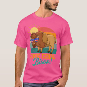 Bison Gifts Usa Flag America Buffalo Souvenirs Hik T-Shirt