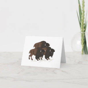 Bison Greeting Card Karte