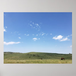 Bison Herd, Custer Staat Park, South Dakota Poster