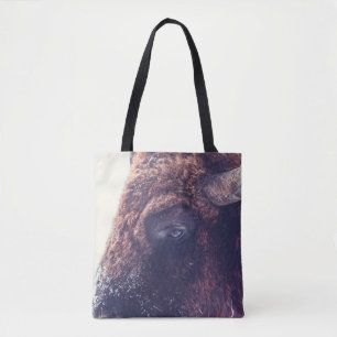 BISON IM WINTER