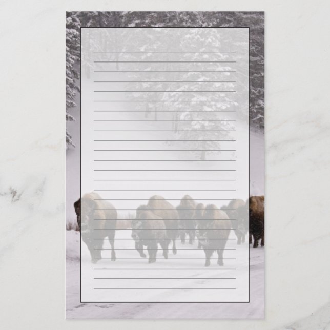 Bison im Winter Briefpapier (Vorderseite)