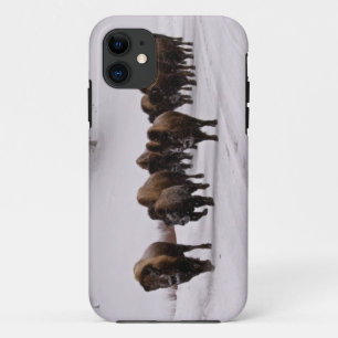 Bison im Winter Case-Mate iPhone Hülle
