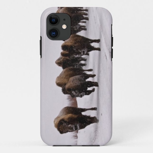 Bison im Winter Case-Mate iPhone Hülle (Rückseite)
