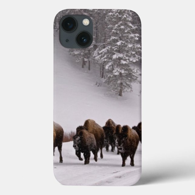 Bison im Winter Case-Mate iPhone Hülle (Rückseite)