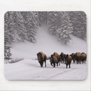 Bison im Winter Mousepad
