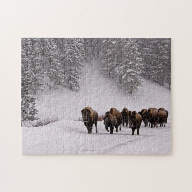 Bison im Winter Puzzle (Horizontal)