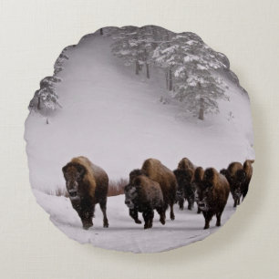 Bison im Winter Rundes Kissen