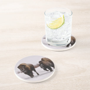 Bison im Winter Sandstein Untersetzer