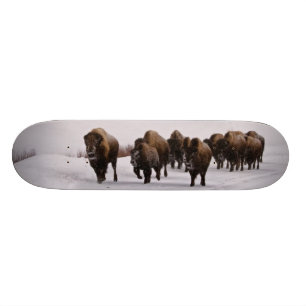 Bison im Winter Skateboard