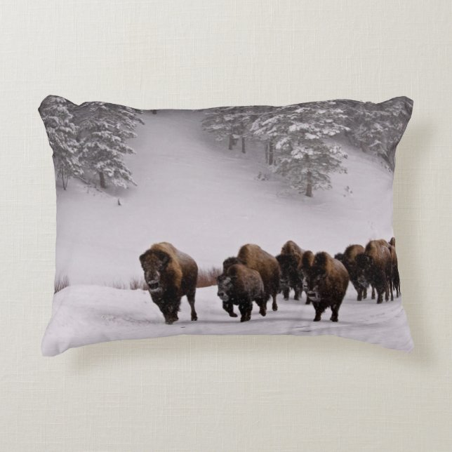 Bison im Winter Zierkissen (Vorderseite)