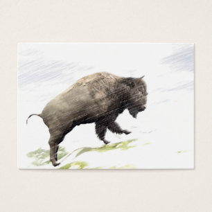 Bison im Wintersturm