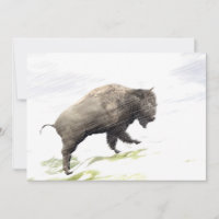 Bison im Wintersturm