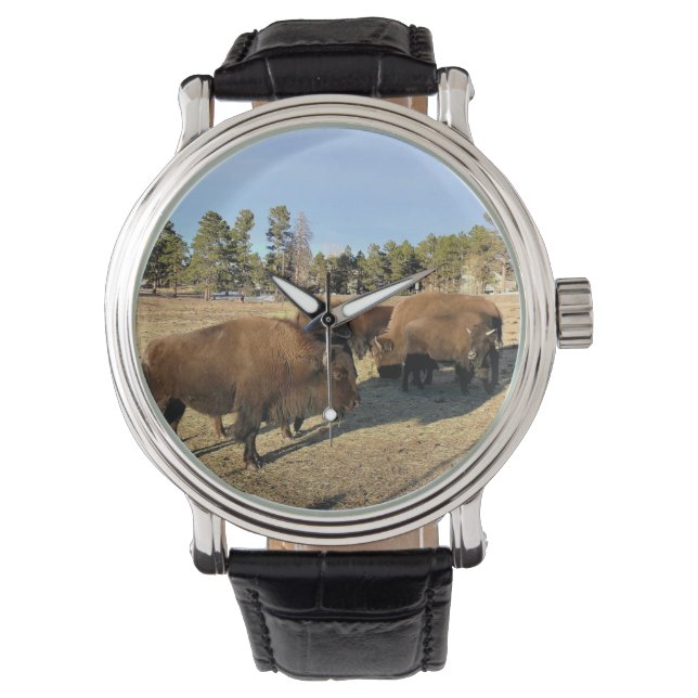 Bison in Colorado Armbanduhr (Vorderseite)