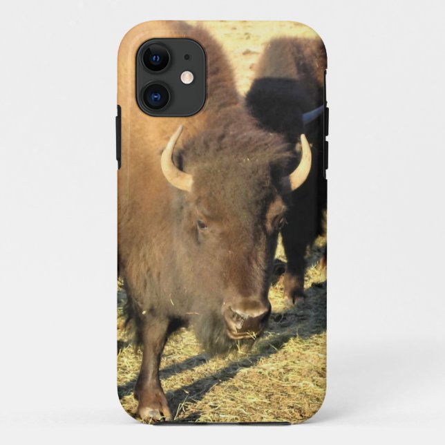 Bison in Colorado Case-Mate iPhone Hülle (Rückseite)