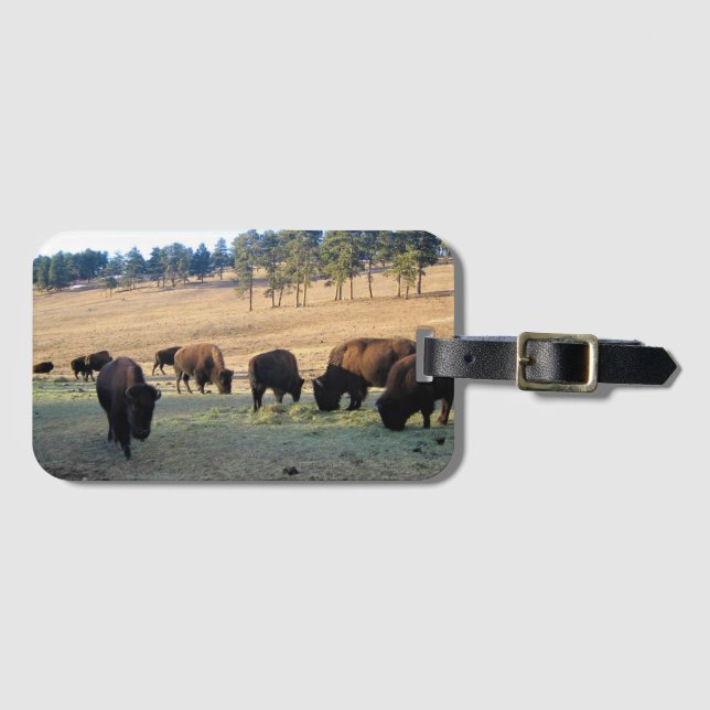Bison in Colorado Gepäckanhänger (Vorderseite (Horizontal))