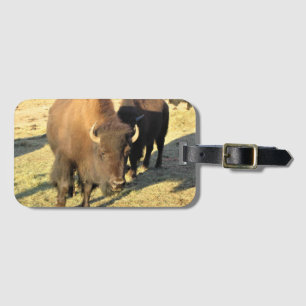 Bison in Colorado Gepäckanhänger