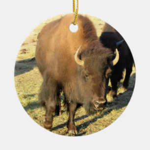 Bison in Colorado Keramik Ornament