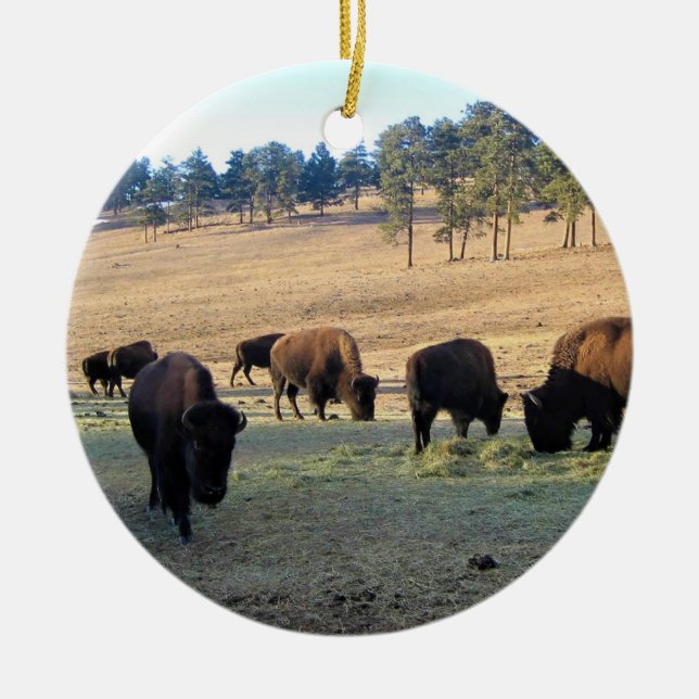Bison in Colorado Keramik Ornament (Vorne)