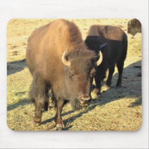 Bison in Colorado Mousepad