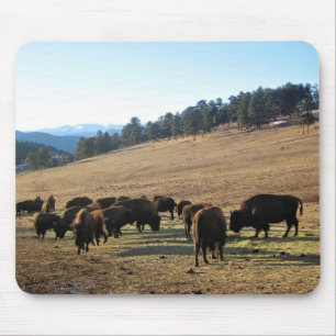 Bison in Colorado Mousepad